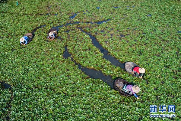 苏州已登记捐遗志愿者6万人