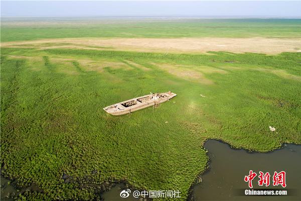外地住宾馆怎么叫服务 _ pe收藏盒,外地住宾馆要隔离吗