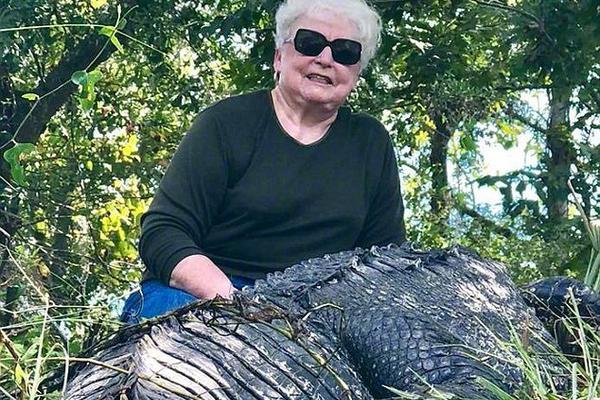 别伤害我歌曲原唱