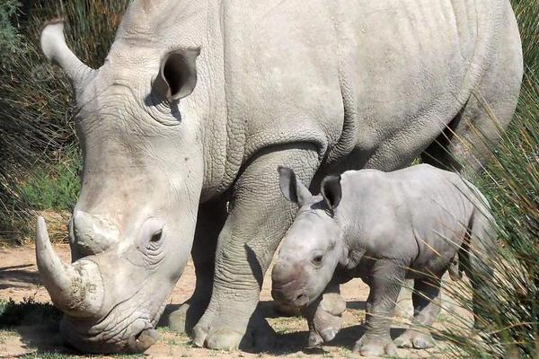 羊毛衫会缩水吗