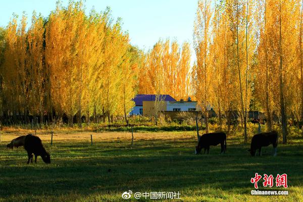 韓春雨的“基因剪刀”又複活了？曾卷入輿論漩渦