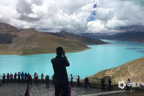 曼联新帅赔率：齐达内高居第一 罗杰斯排名第二