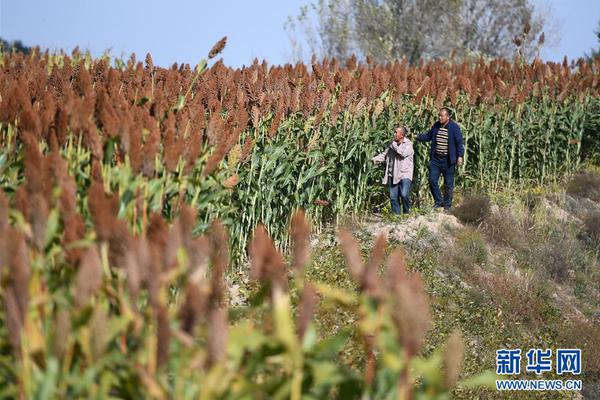 历史回顾：那些年我们一起NBA 在线观看的经典瞬间