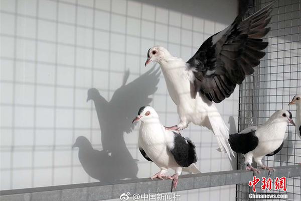 霍邱县开展师德演讲比赛