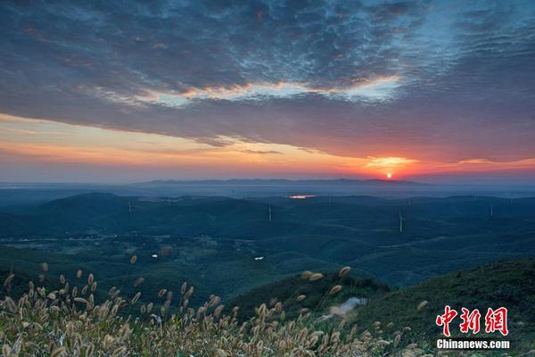 五粮液交出历史成绩最好一季报，净利增幅超30%