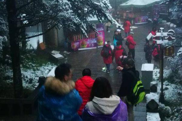 广西体育局江南训练基地场馆改扩建项目正式开工