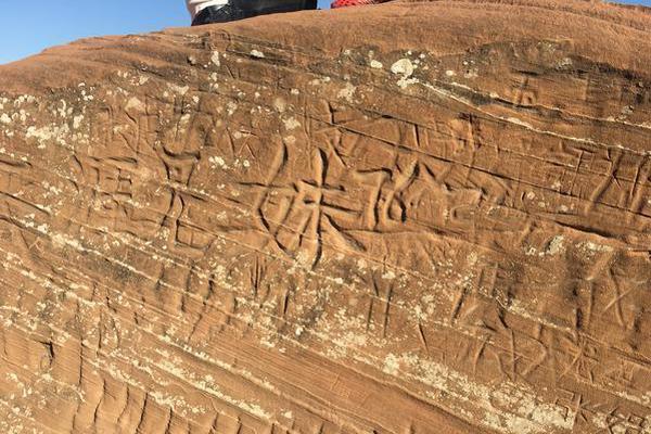 螃蟹運輸能活多久 