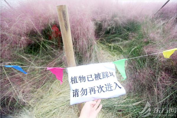 青阳县庙前镇：法治宣传责任重 平安建设入人心