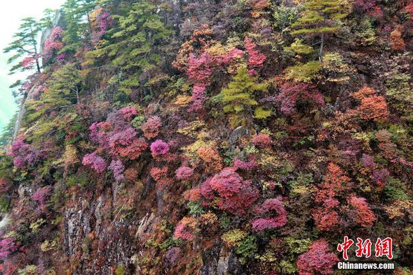 海南通報“醫院售假宮頸癌疫苗”調查處理進展