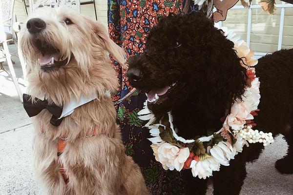  肠粉怎么炒才好吃