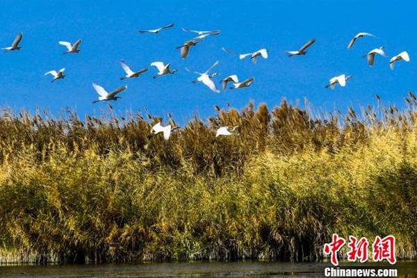 《死亡搁浅》现实隐喻孤独与连接