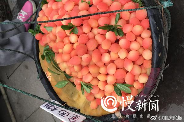 陪练“咸宁市小巷子