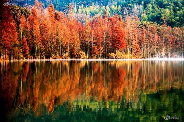 中国古代循环农业模式与特征（四）