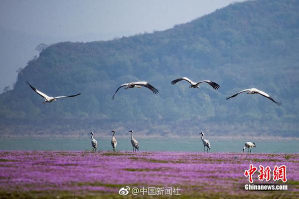 5月苦尽甘来，财源滚滚，日子富贵如意的3大星座