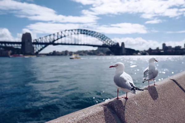 探索遊戲的新維度：GameKne 如何重新定義你的數位娛樂生活 