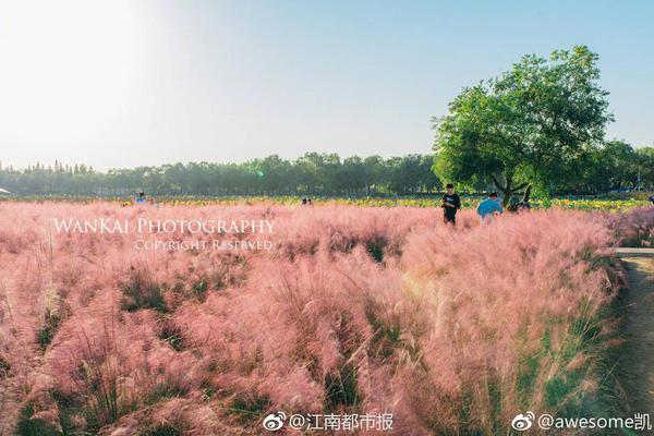 发现夏商等不同时期遗存50余处