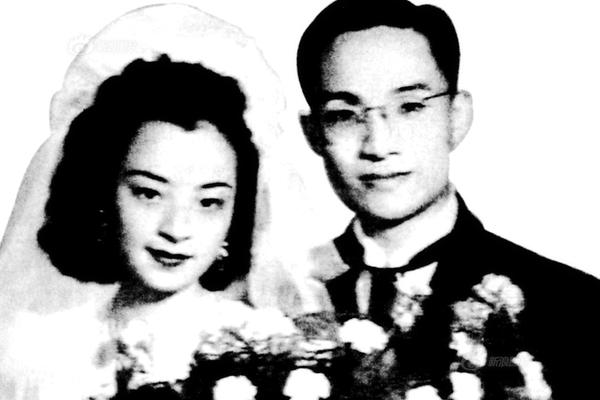 深泽加奈，在线视频与剧情介绍