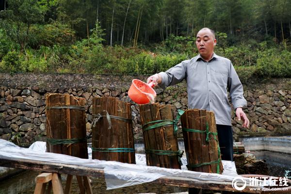 春季运动正当时 2个动作保护你的膝关节