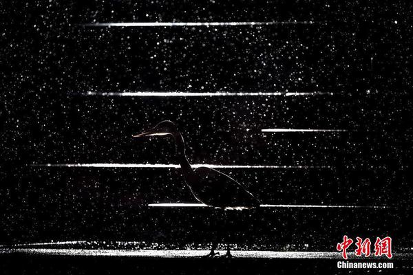 水果“连云港夜宵一条街