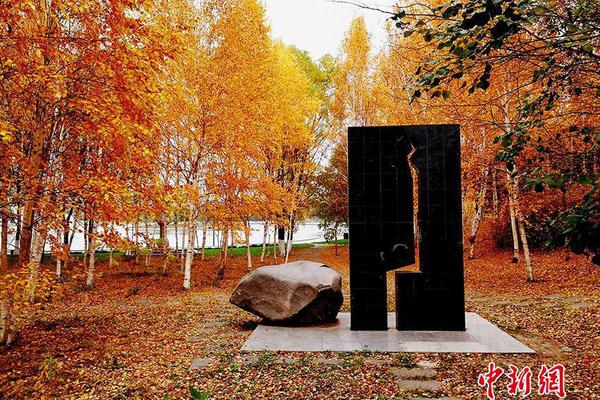 买桔子的梗是什么意思