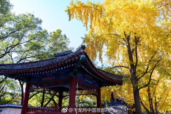一位青年体育创业者:关店潮中我被会员逼着开门