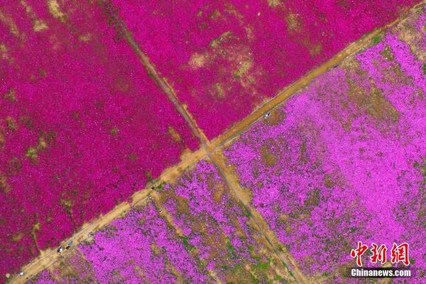 割雙眼皮什么梗 