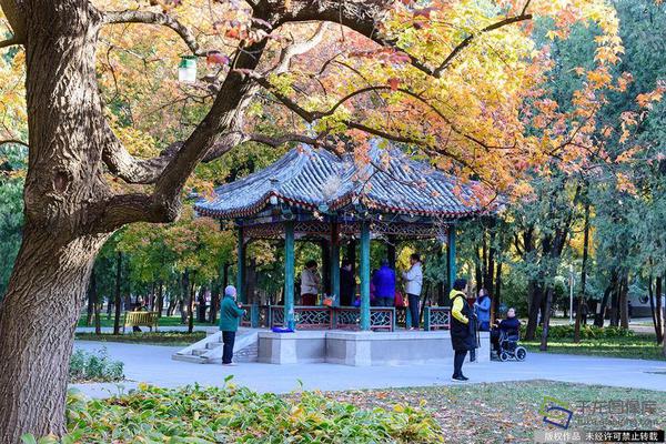 江湖人称“脑黄金”的DHA，孕妇、宝宝到底要不要补？
