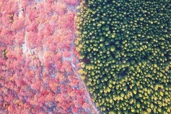 欧冠赛场冷风尽吹 各路豪门“花式输球”