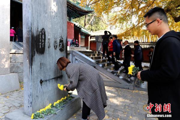 中式台球精英巡回赛总决赛完赛