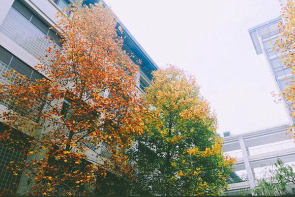 大学!大学门口最新暗号对接
