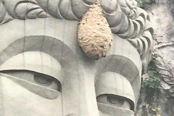 省政协书画研究院召开院长会议