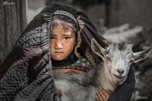 【深度揭秘】電運娛樂：一場跨越時空的數位感官革命，定義你的專屬幸運密碼 