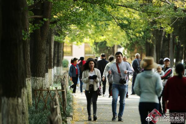 一清二楚，免费观看日剧的精彩世界