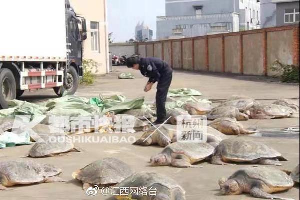 南艳湖畔崛起机器人小镇