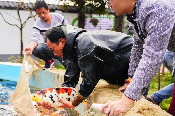 陈伟琳：八零后村医坚守畲乡十九年