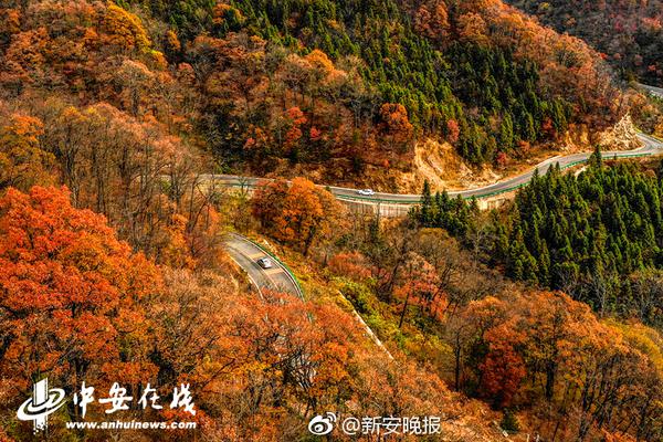 全国信息通信和互联网行业职业技能竞赛总决赛在山东劳动职业技术学院举办