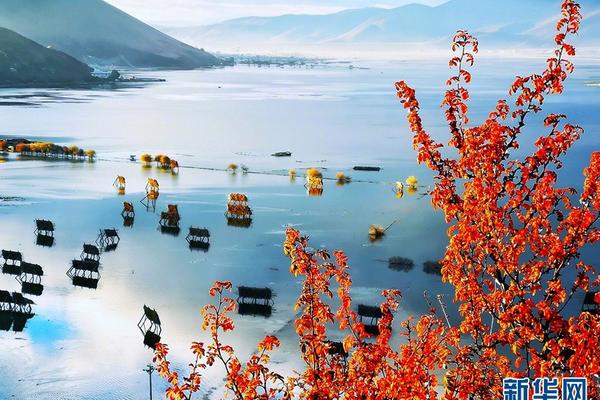 隱世於山海之間：西貢青協營地的治癒係指南，找回失落的熱血與寧靜 