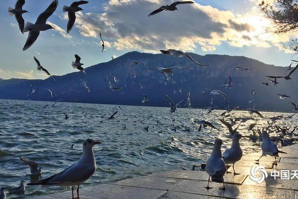 《再会长江》5.24公映 上海千人观影活动盛况空前