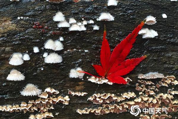 陕西秦岭别墅拆了 它的支脉骊山又隐现别墅群