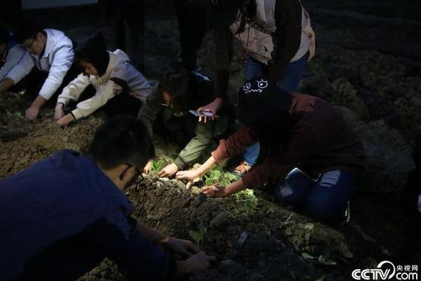 巴巴鱼丈母娘的在线视频世界