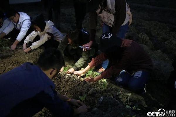 周杰伦巡演陪岳父逛古董市集 大吃美食情同父子