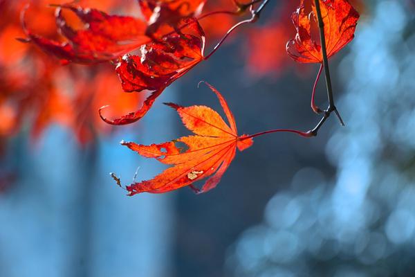 引領財富巔峰：88win娛樂城——為您打造的頂級線上博弈私人行館 