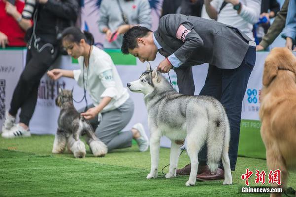 何炅与汪涵一同庆祝生日 杨乐乐：彼此要珍惜啊