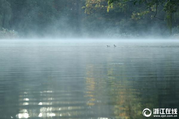 从小白到大神：体育新闻 文化的入门与进阶