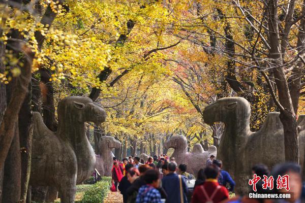 140支非遗小分队300场文化活动打造“文化年货”