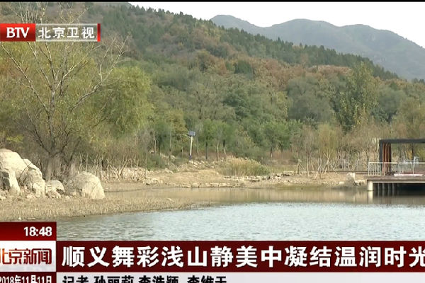 秦被解职的背后原因