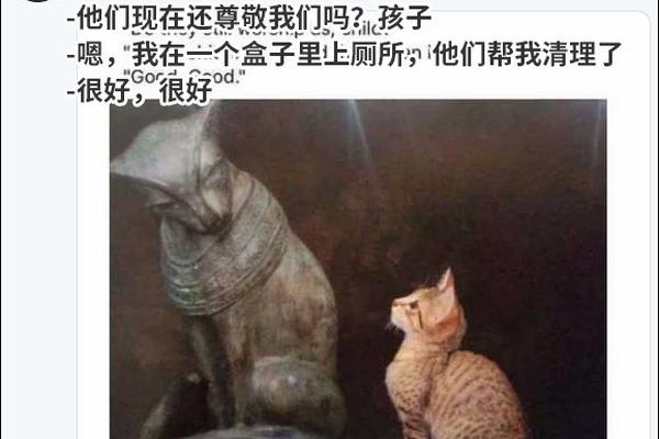 明星PS私立高中老师，在线视频与剧情介绍