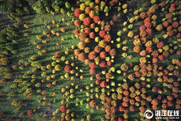 海南一国企副总经理被双开:虚开发票套取套钱送礼