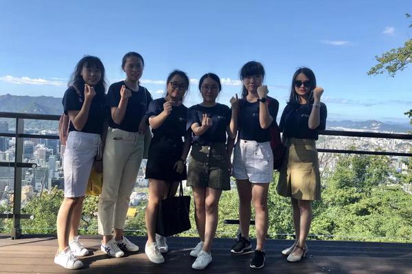 茄子楼层高宽在线播放，免费观看与剧情介绍