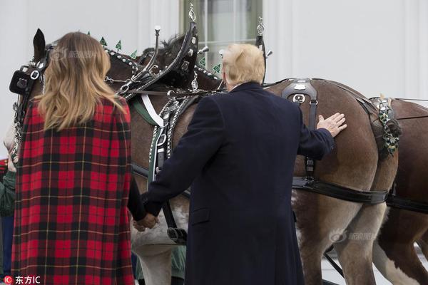 发芽的土豆可以吃吗有没有毒